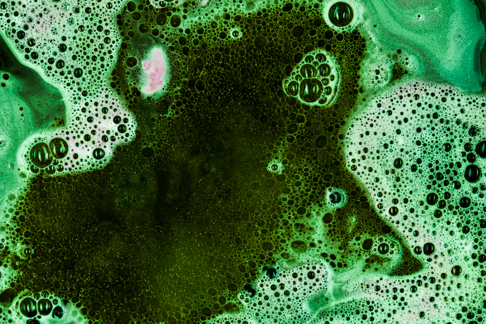 Pond Algae